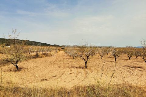 Helårsgrund i Raspay, Murcia, Raspay - € 65.000 | Ref: SF0353 - foto 3